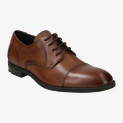 Lloyd Art.  22-525-03 LIAS - Brown