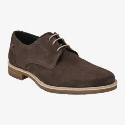 Lloyd Art. 13-008-27 LASS - Brown