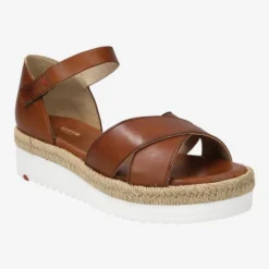 Lloyd Art.  12-504-01 - Brown