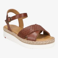 Lloyd Art.  11-603-02 - Brown