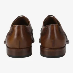 Lloyd Art.  23-716-02 STAFFORD BE -