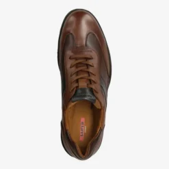Lloyd Art.  22-731-13* BREVIS - Brown -Lloyd Shoes Shop top 1333010267