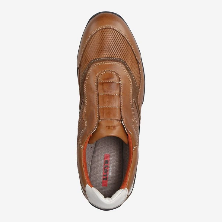 Lloyd Art. 13-002-12 BANFIELD - Brown 5 Lloyd Art. 13-002-12 BANFIELD - Brown - Image 5