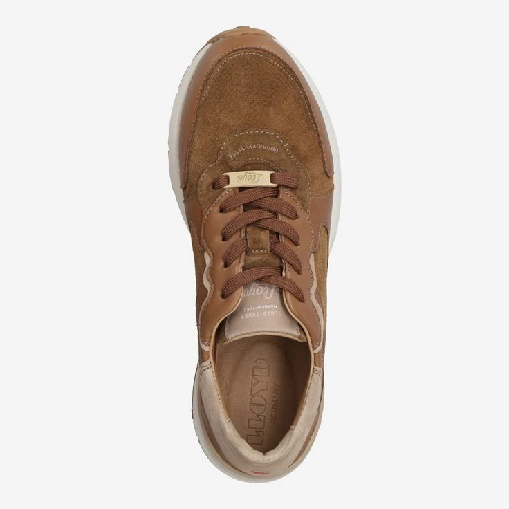 Lloyd Art. 22-201-31 - Brown 5 Lloyd Art. 22-201-31 - Brown - Image 5