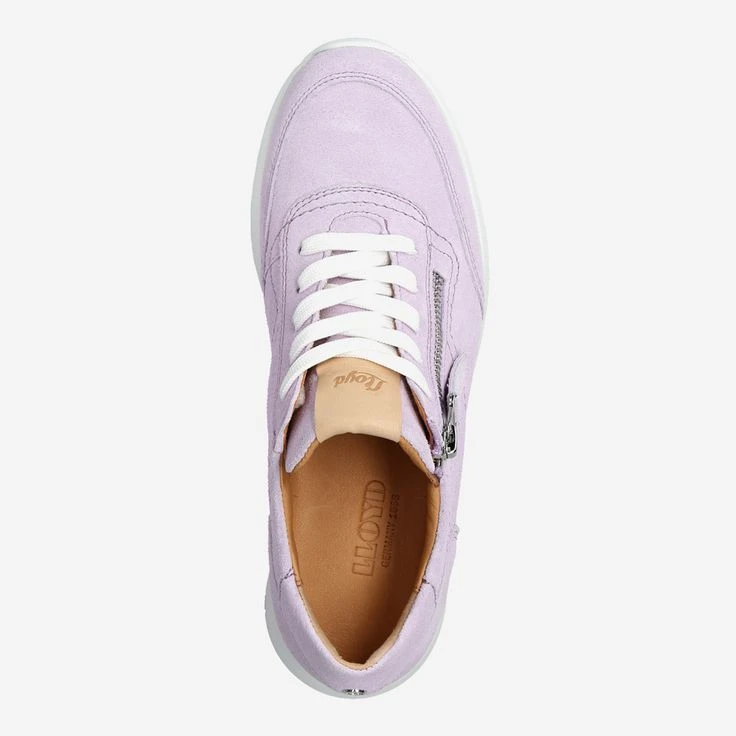 Lloyd Art. 13-770-12* - Purple 5 Lloyd Art. 13-770-12* - Purple - Image 5